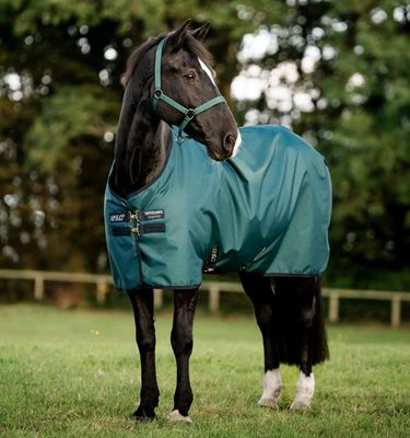 HORSEWARE - Horse Rug Amigo Ripstop 900D Turnout 100g Dynasty Green/Navy/Silver