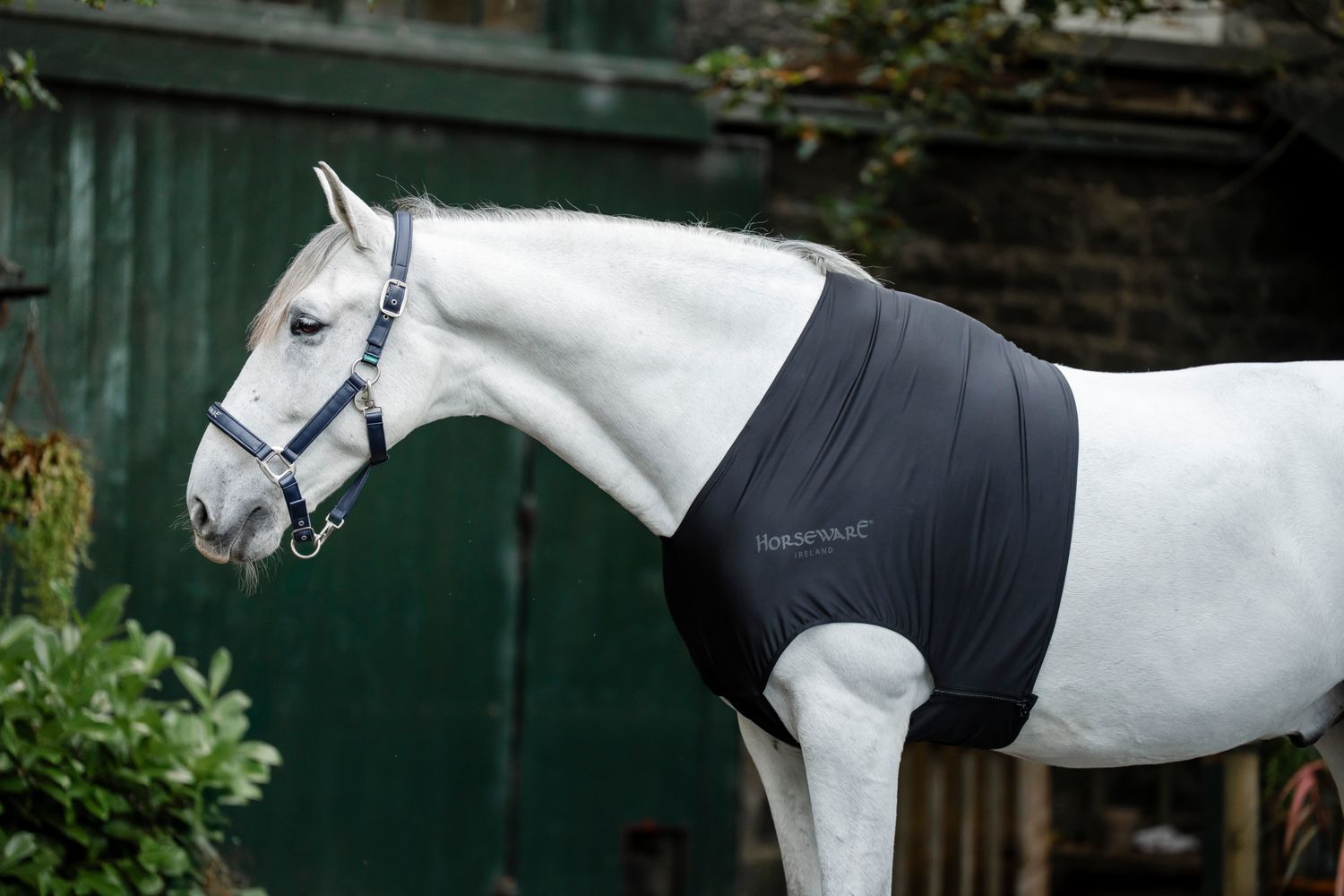 HORSEWARE - Rambo Shoulder Guard Black