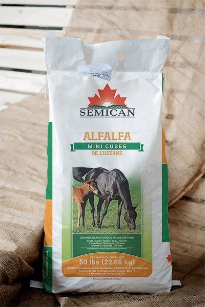 SEMICAN - Alfalfa Minicubes, Format: 22.68kg
