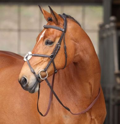 SHIRES - Bridle Woodside Figure 8 Havana