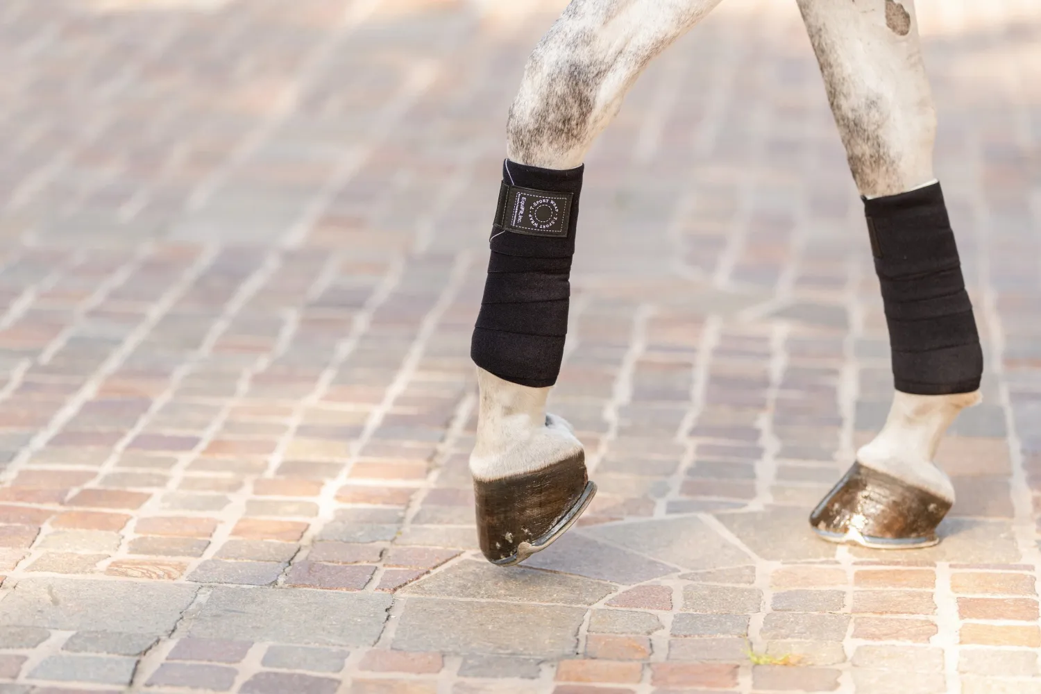 EQUIFIT - T-Sport Wrap Black