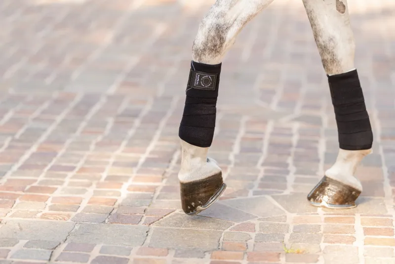 EQUIFIT - T-Sport Wrap Black