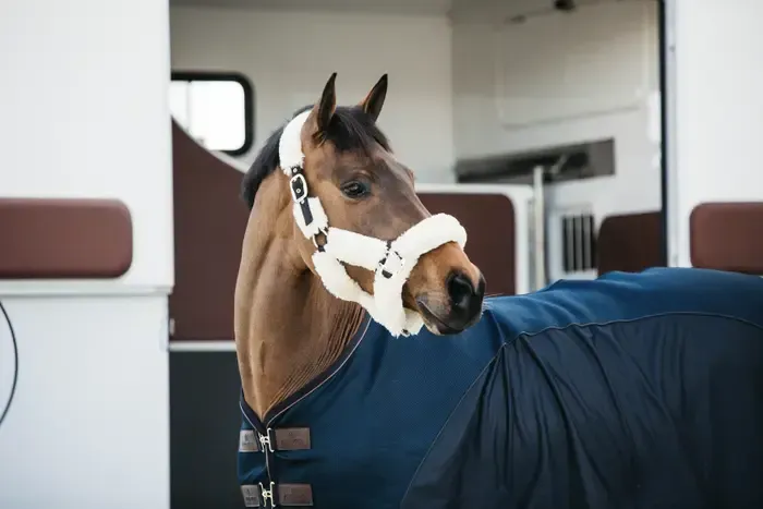 KENTUCKY HORSEWEAR - Sheepskin Shipping Natural Halter, Size: Cob