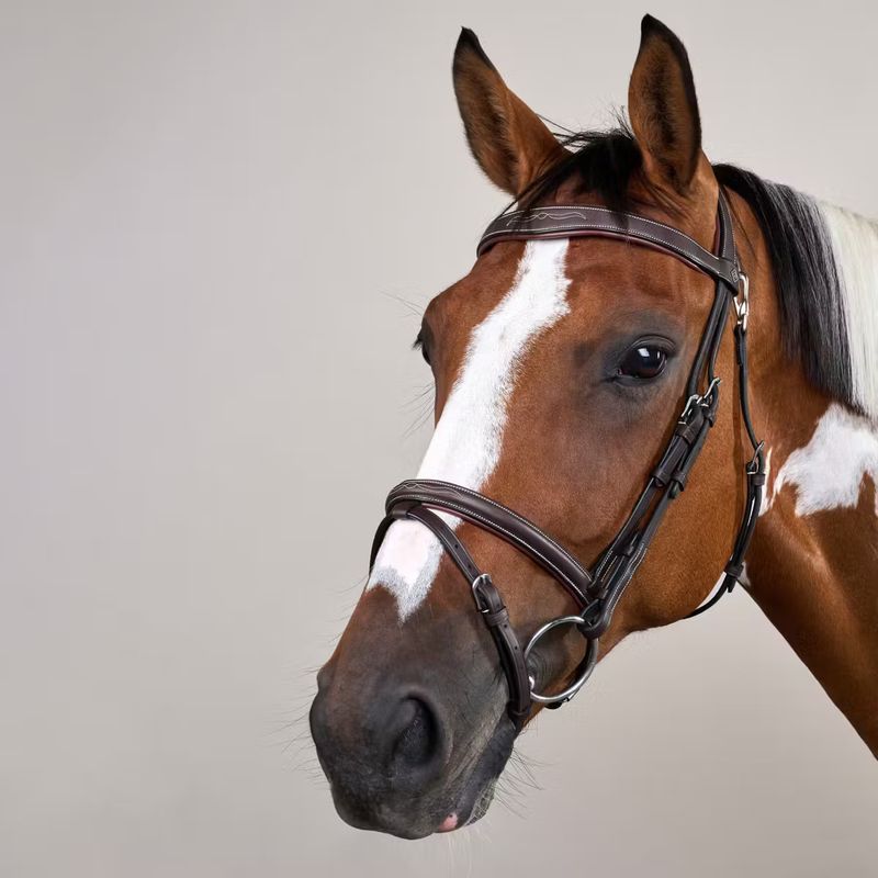 DY&#39;ON - Flash Noseband Bridle with Snap Hooks