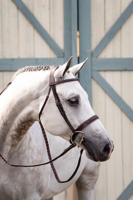 DY'ON - Hunter Collection Wide Noseband Bridle