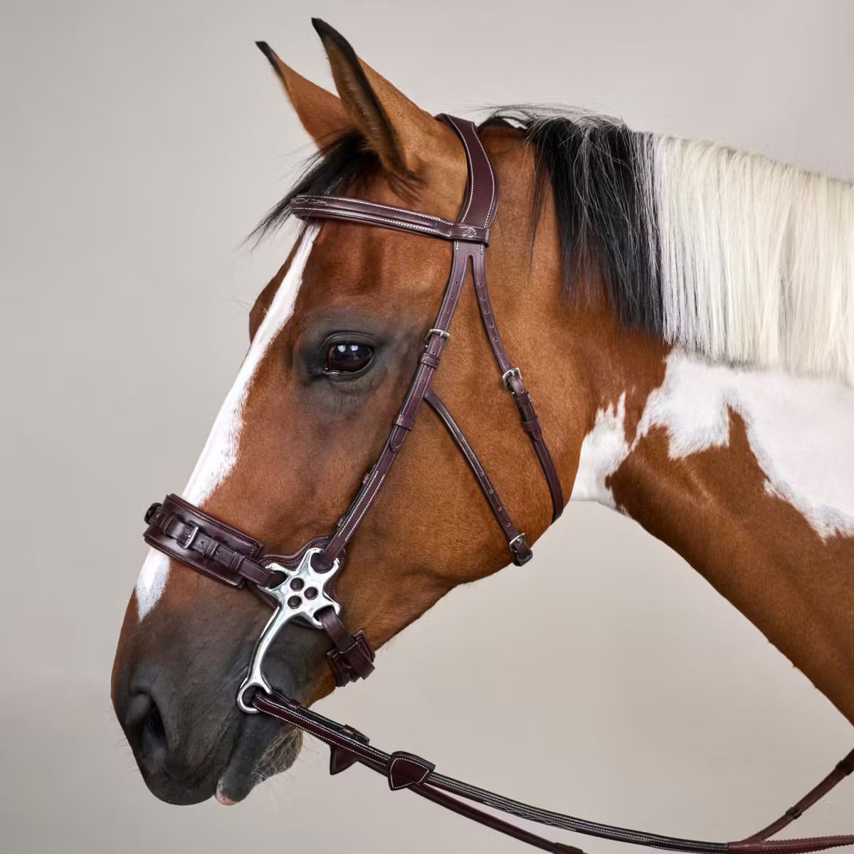 DY&#39;ON - New English Hackamore Bridle, Color: Brun, Size: Full