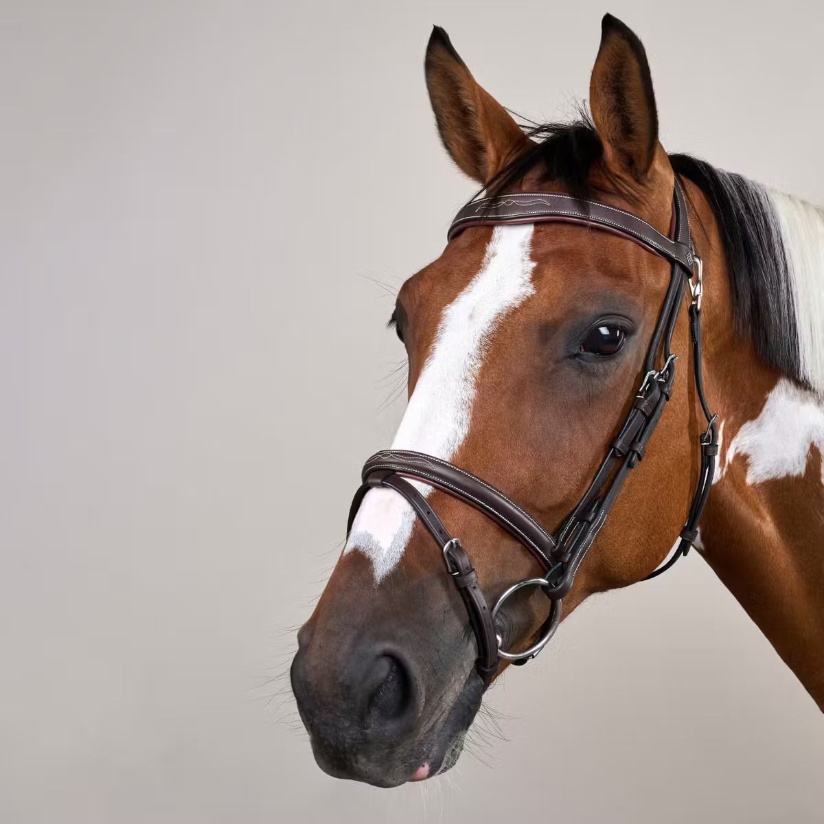 DY&#39;ON - Flash Noseband Bridle with Snap Hooks, Color: Brun, Size: Full