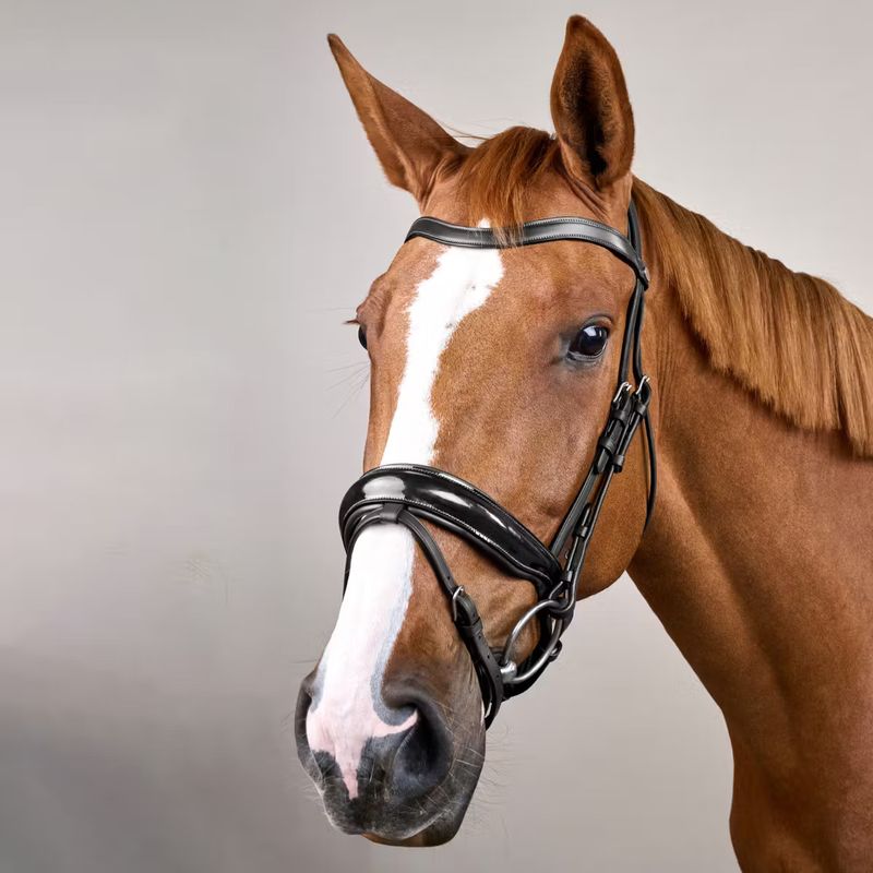 DY&#39;ON - Patent Large Crank Noseband Bridle with Flash