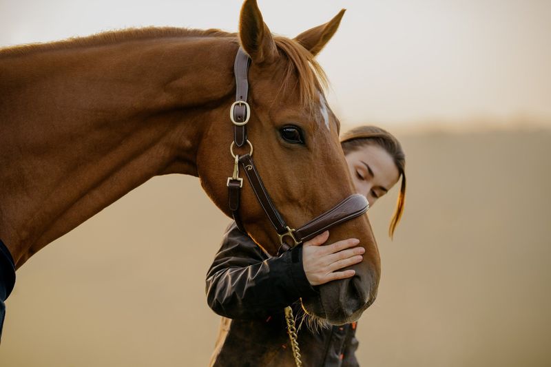 DY&#39;ON - D Collection Leather Head Collar