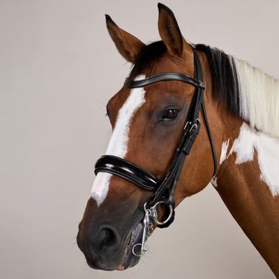 DY&#39;ON - Patent Large Crank Noseband Double Bridle