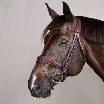 DY&#39;ON - Plaited Flash Noseband Bridle with Pull Back