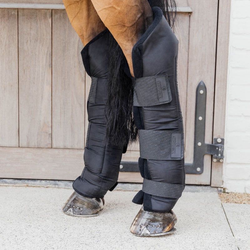 KENTUCKY HORSEWEAR - Stable Boots PROtect Long Hind, Color: Noir, Size: Medium