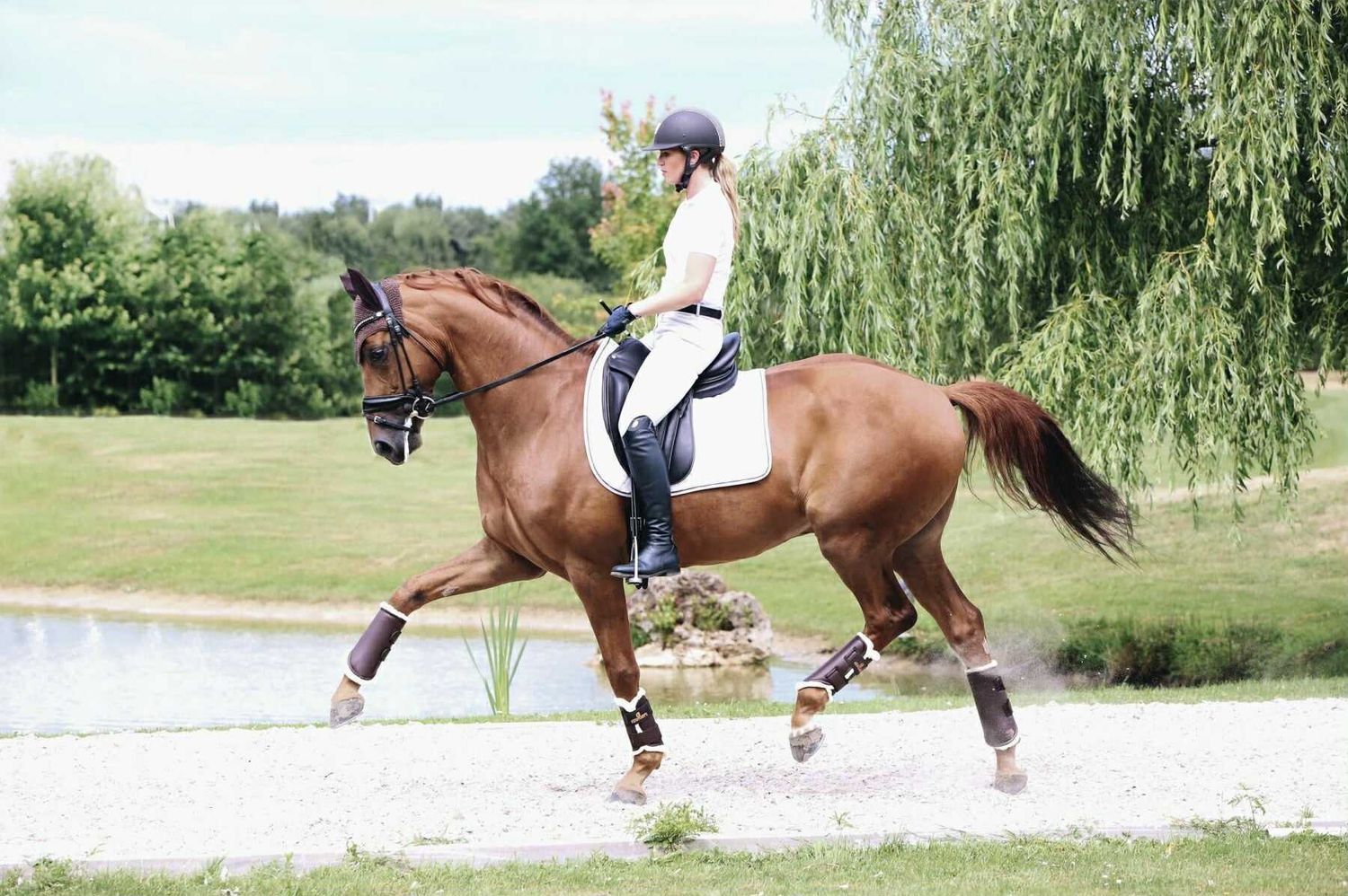 KENTUCKY HORSEWEAR - Brushing Boots in Leather Front Brown, Size: Full