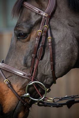 DY&#39;ON - D Collection Leather Plaited Gag Cheekpieces with Brass Buckle