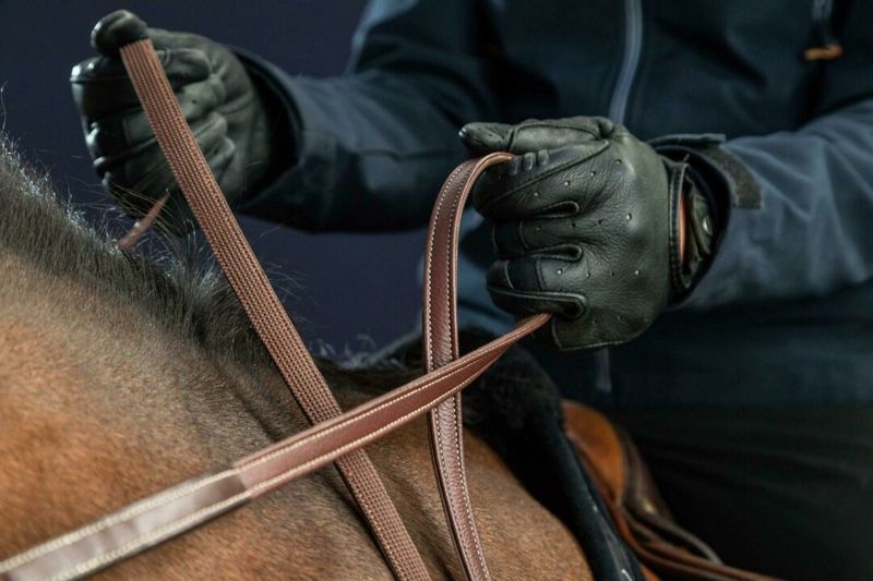 DY&#39;ON - Rênes Hunter 1/2po D Collection