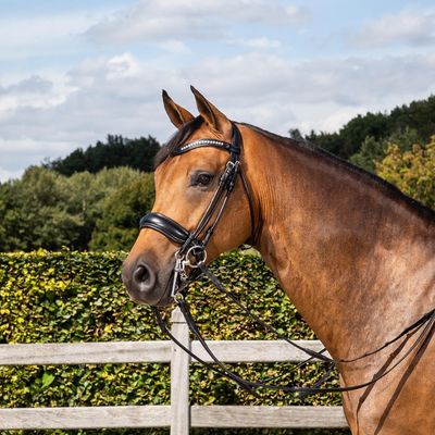 DY&#39;ON - R1/2 Full Leather Double Bridle Reins