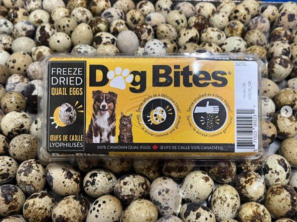 DOG BITES - Freeze Dried Quail Eggs