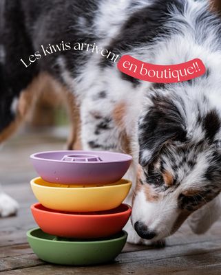 DOG&#39;S CRUSH - Mini Kiwi Slow Feeder Bowl