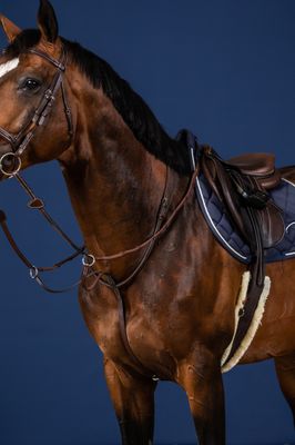 DY&#39;ON - US Jumping Running Martingale