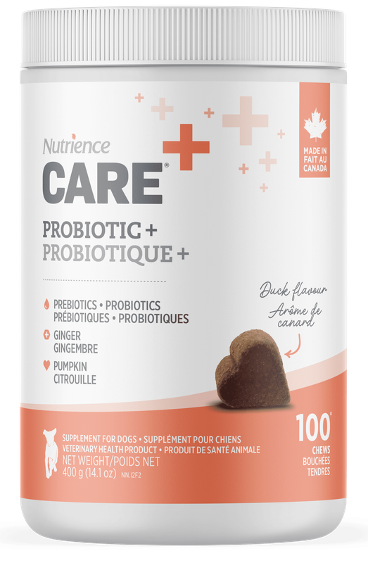 NUTRIENCE - Probiotic Dog Supplement