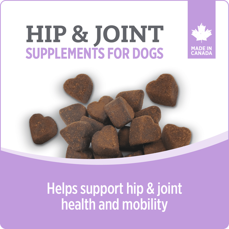 NUTRIENCE - Hip &amp; Joint Dog Supplement