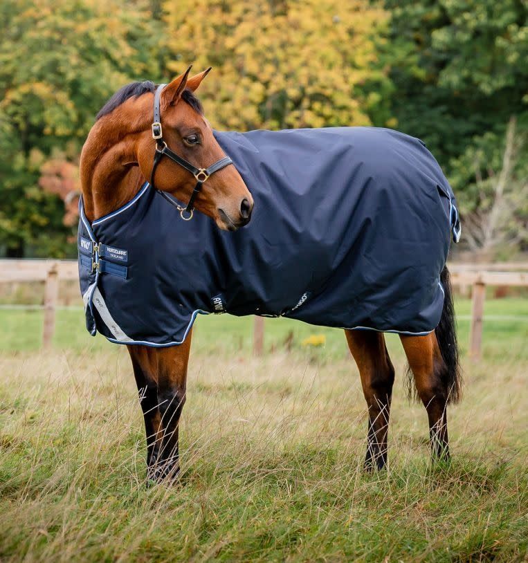 HORSEWARE - Amigo Bravo 12 Original NavyTurnout 250g (Medium), Size: 69