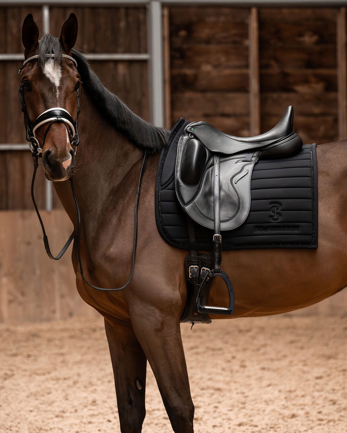 PS OF SWEDEN - Stripe Dressage Saddle Pad Black, Size: Cheval