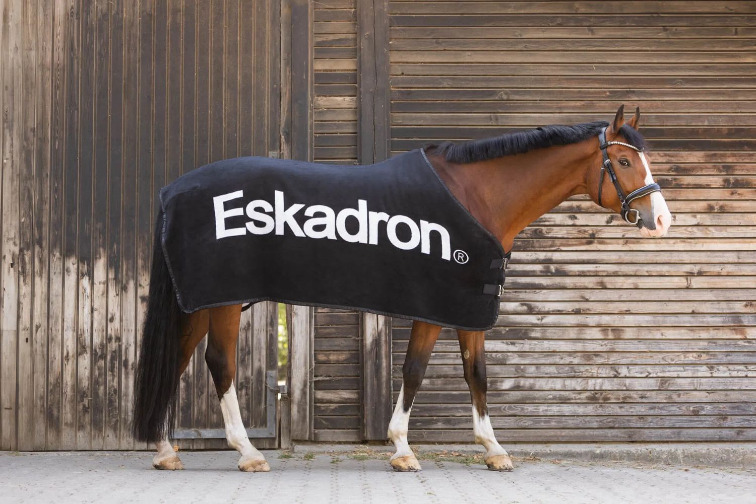 ESKADRON - Eskadron Cotton-Synthetic Rug Dralon, Size: 72 po
