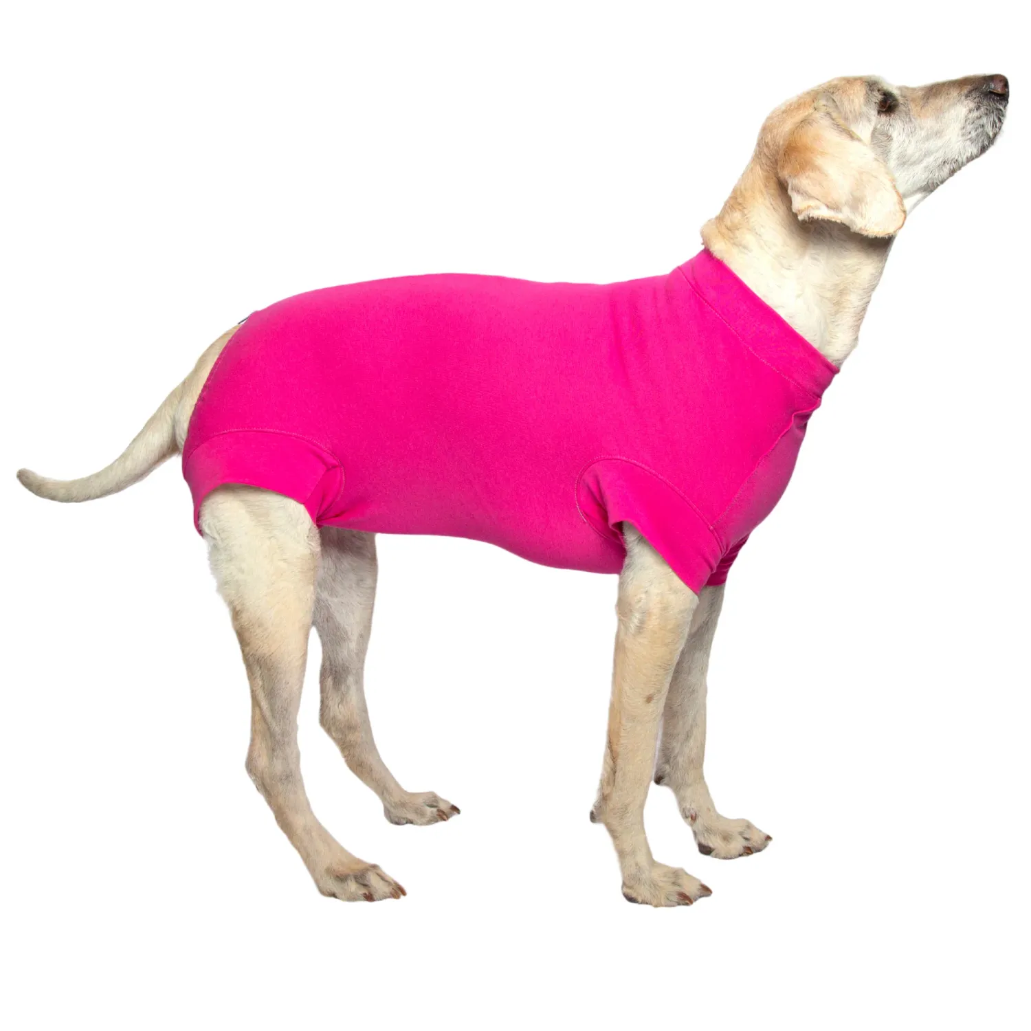 VET MED WEAR - Recovery Suit / After Surgery Pet Clothing, Colour: Rose (Femelle), Size: XSmall