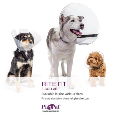 PIVETAL - Lock-Rite Fit E-Collar