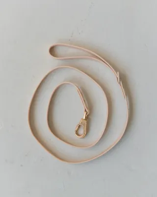 DEXYPAWS - Nude Waterproof Dog Leash