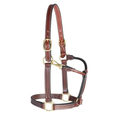 WEAVER - Thoroughbred 1'' Halter with Snap