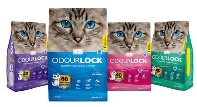 INTERSAND - Odourlock Ultra-Premium Clumping Litter