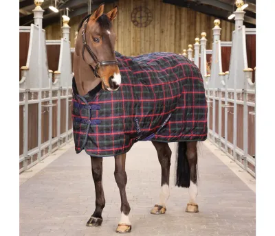 SHIRES - Tempest 100g Stable Blanket