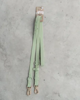 DEXYPAWS - 6Foot Waterproof Hands Free Dog Leash