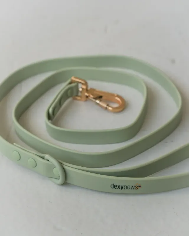 DEXYPAWS - Sage Green Waterproof Dog Leash