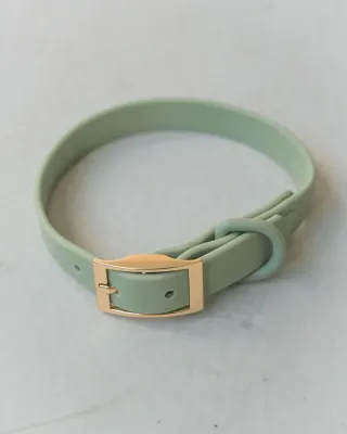 DEXYPAWS - Sage Green Waterproof Dog Collar