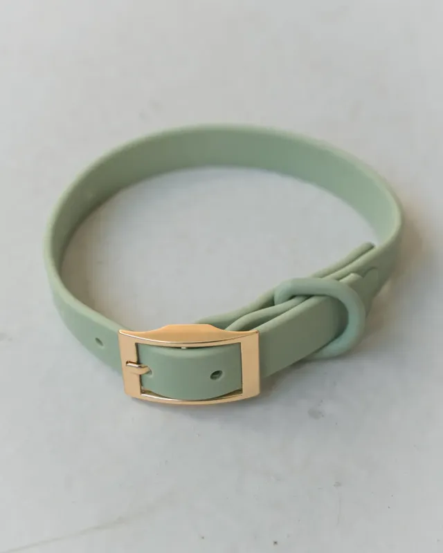 DEXYPAWS - Sage Green Waterproof Dog Collar