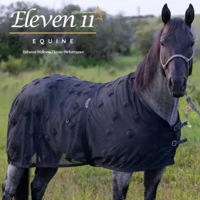 ELEVEN11 - MagnetXmotion Black Magnetic Sheet