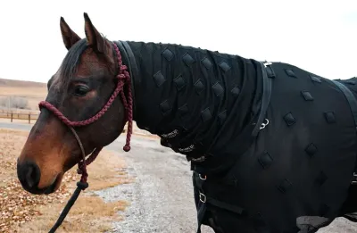 ELEVEN11 - Black Magnetic Neck Cover