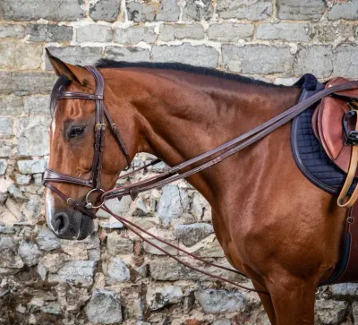 DY'ON - RLeather/Nylon Draw Reins 5/8