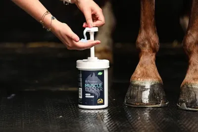 CAVALOR - Muscle Cooler