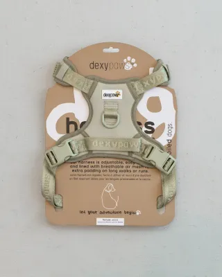 DEXYPAWS - Sage Green No-Pull Dog Harness