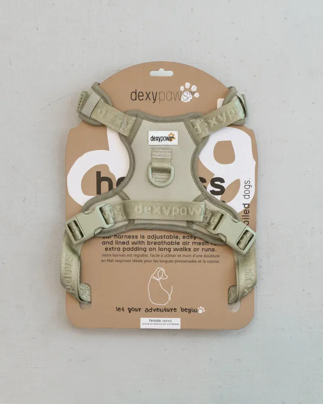 DEXYPAWS - Sage Green No-Pull Dog Harness