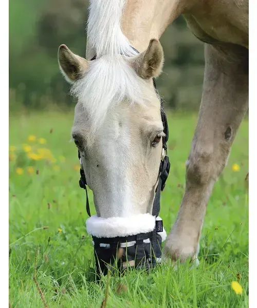 SHIRES EQUESTRIAN - Deluxe Comfort Grazing Muzzle