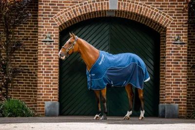 HORSEWARE - Cooler and transport blanket Signature