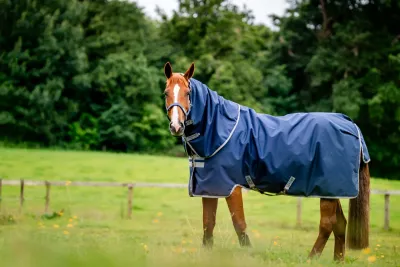 HORSEWARE - Amigo Ripstop 900D Plus 100g Navy Blanket