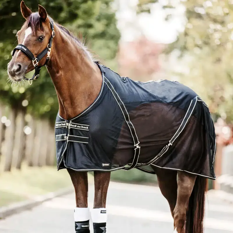 BACK ON TRACK - Sienna Scrim Cooler Horse Blanket
