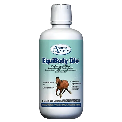 OMEGA ALPHA - EquiBody Glo