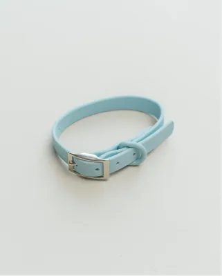 DEXYPAWS - Sky Blue Waterproof Dog Collar